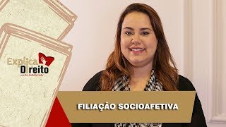 Explica Direito Filiação Socioafetiva  2019 [upl. by Niela]