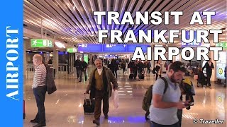 TRANSIT WALK AT FRANKFURT Airport FRA Terminal 1  Connection Flight Transfer Arriving amp Departing [upl. by Leacock]